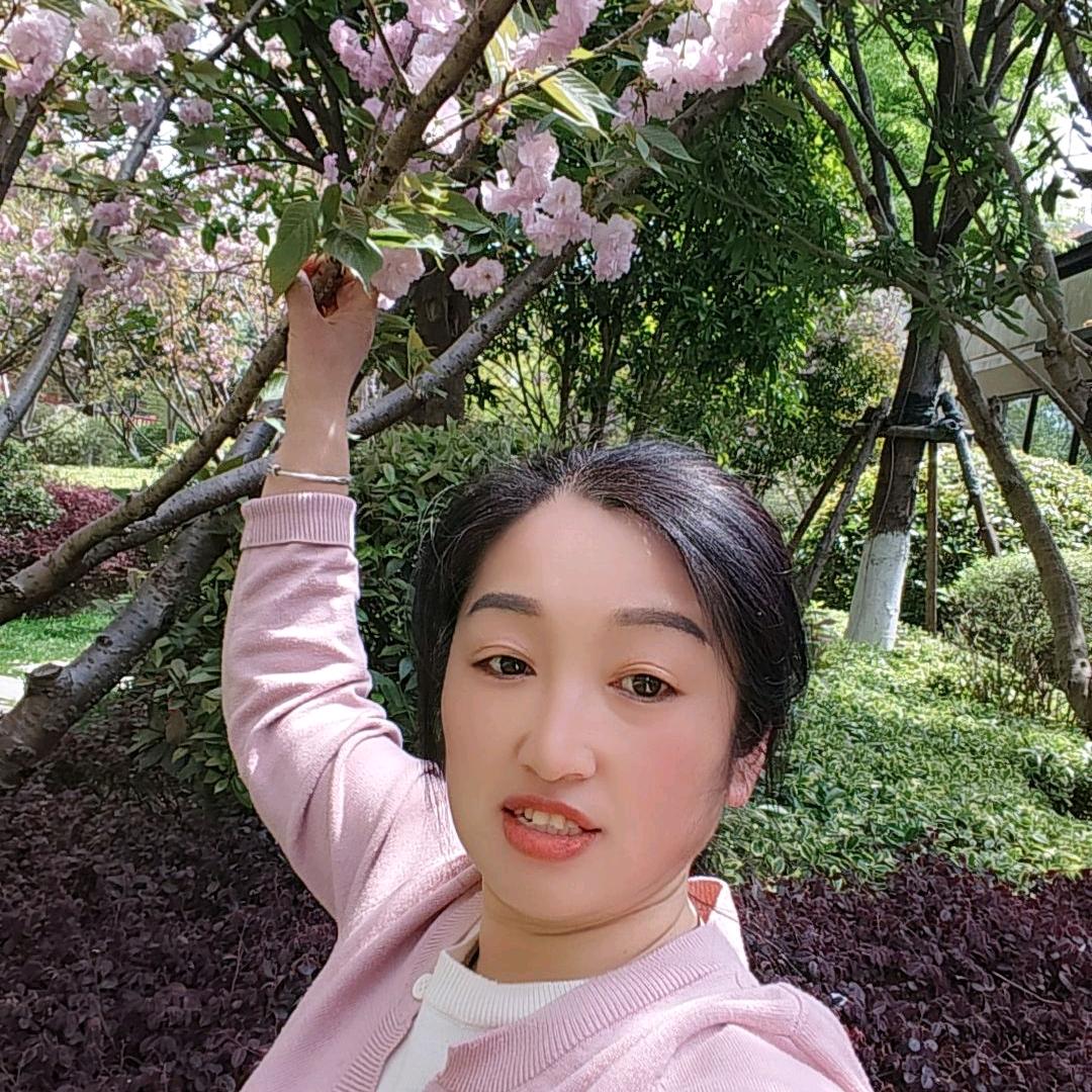 河南李姐