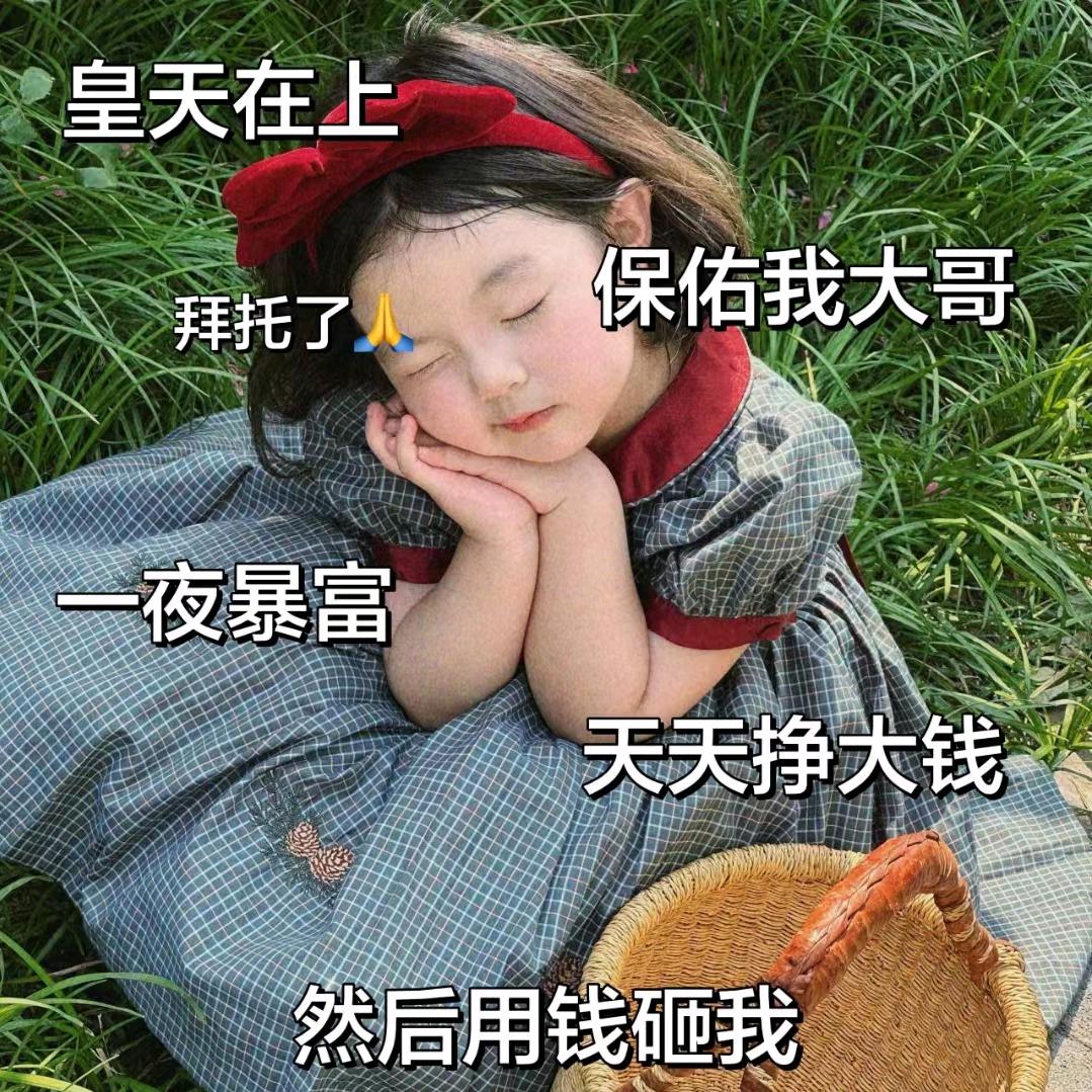 小初一🐹🐹