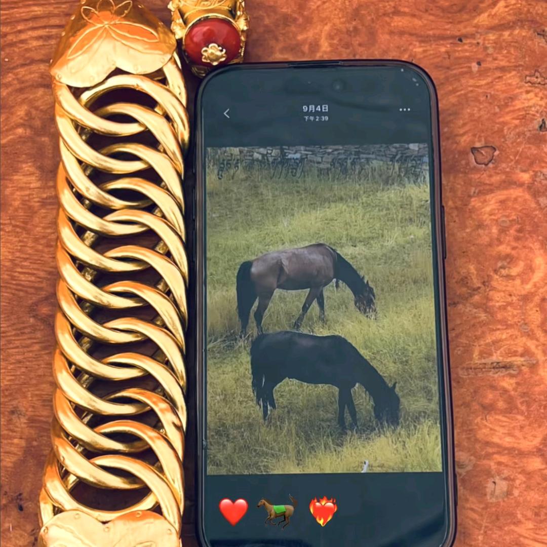 🐎🦅马王🦅