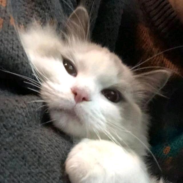 斌糖葫芦