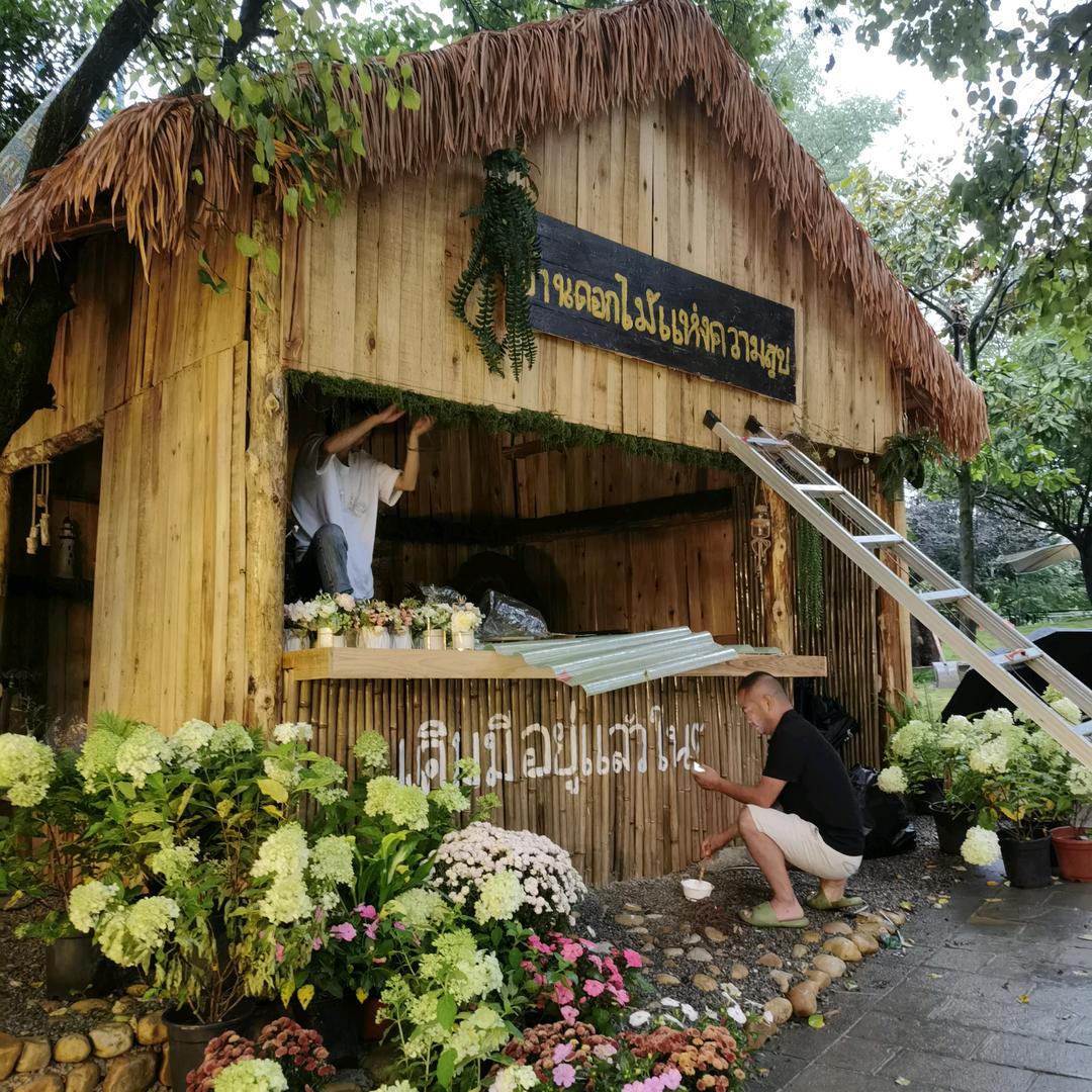 不远岚山*管家小资