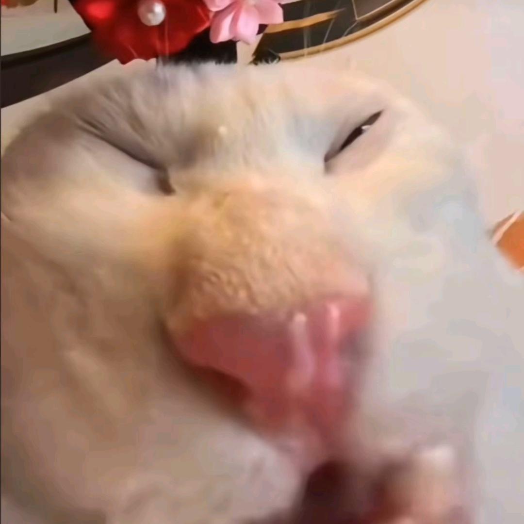 吃饱撑得去遛弯