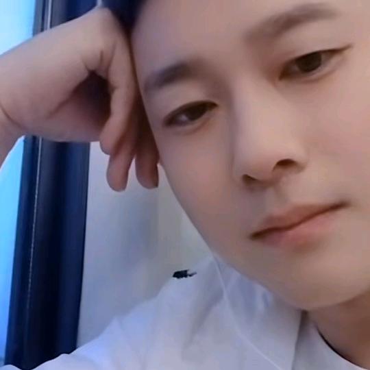 扶💫摇💫扶💫摇上九霄