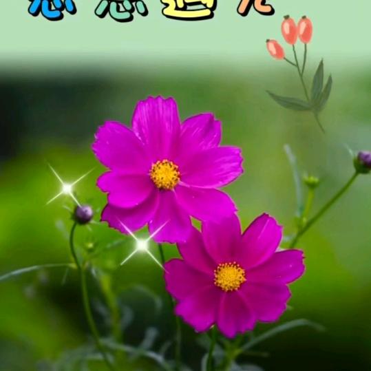 沉魚落雁