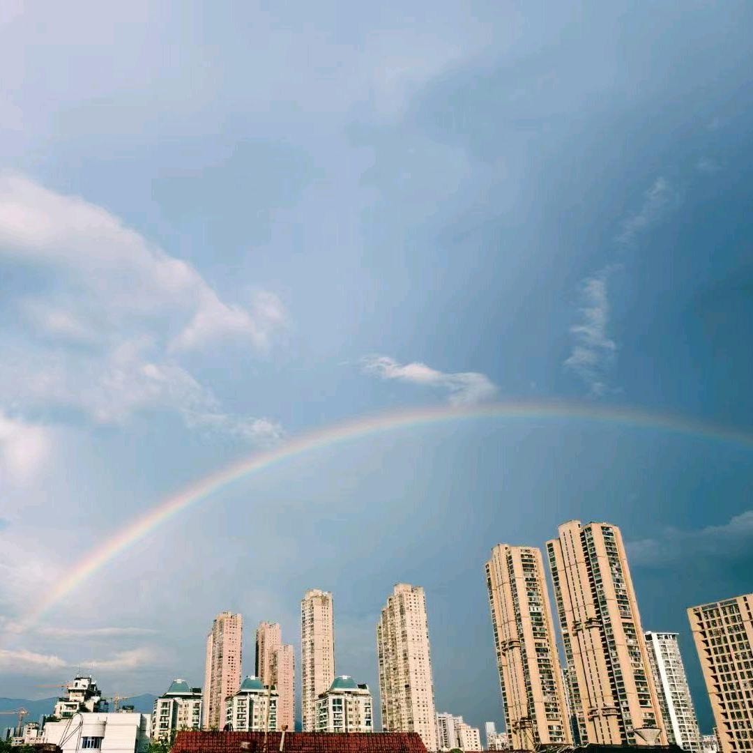 也许是只小青蛙