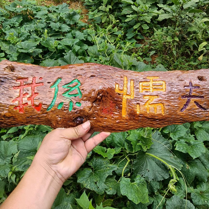 星爷木匠✌️