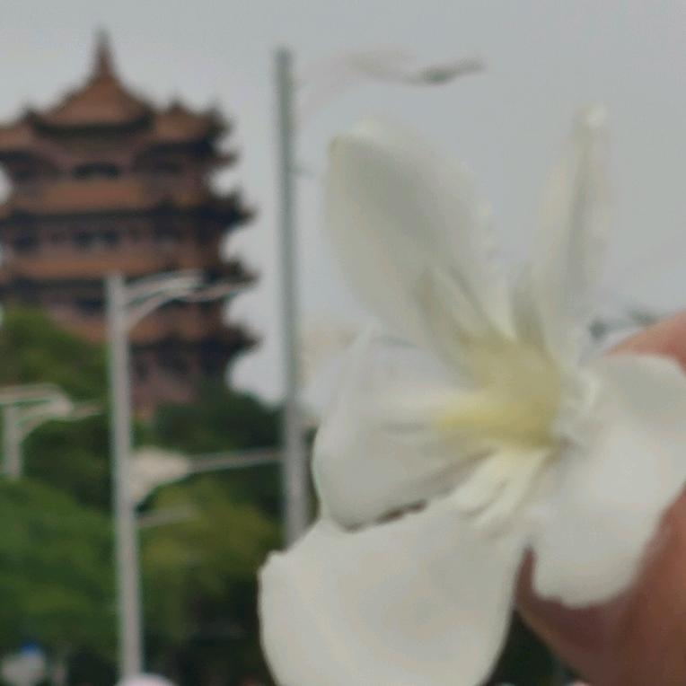 学学好物分享来咯～