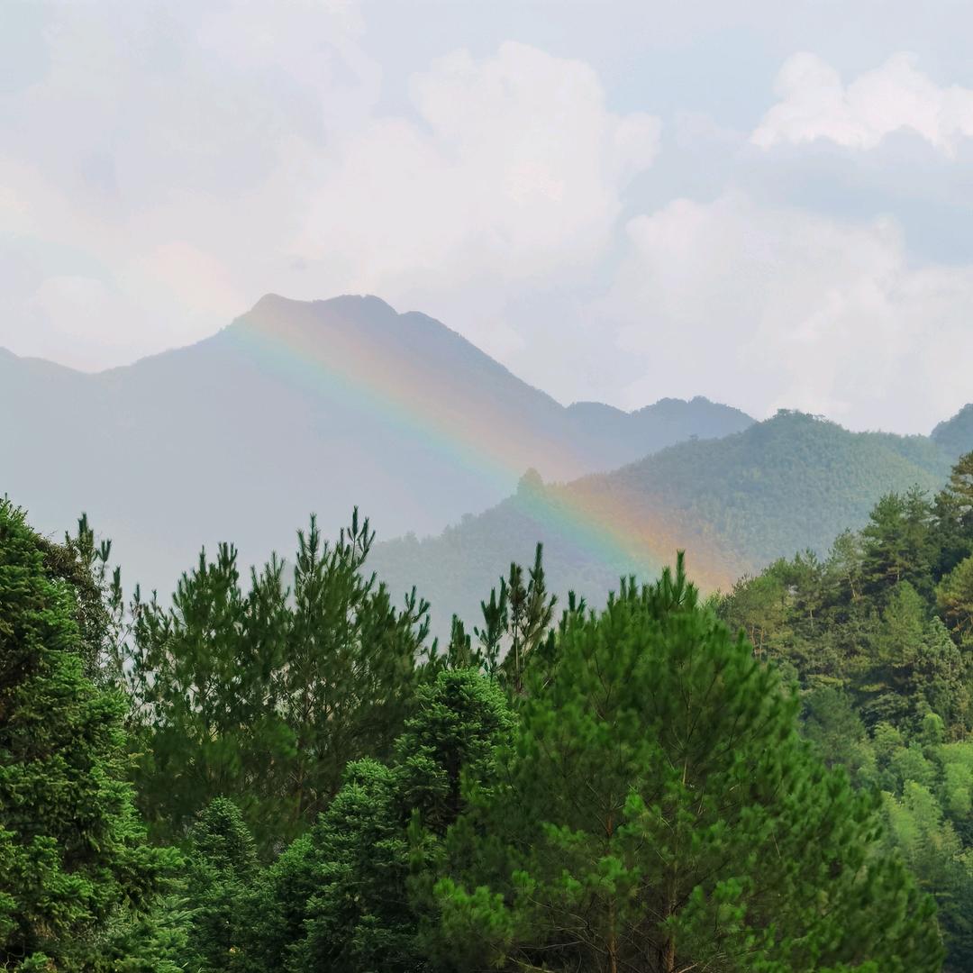 饶有“丰”景
