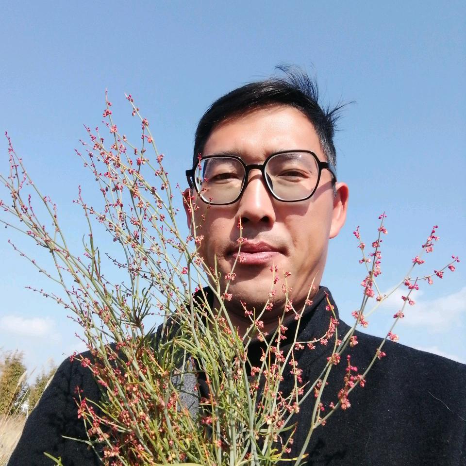 陈金良