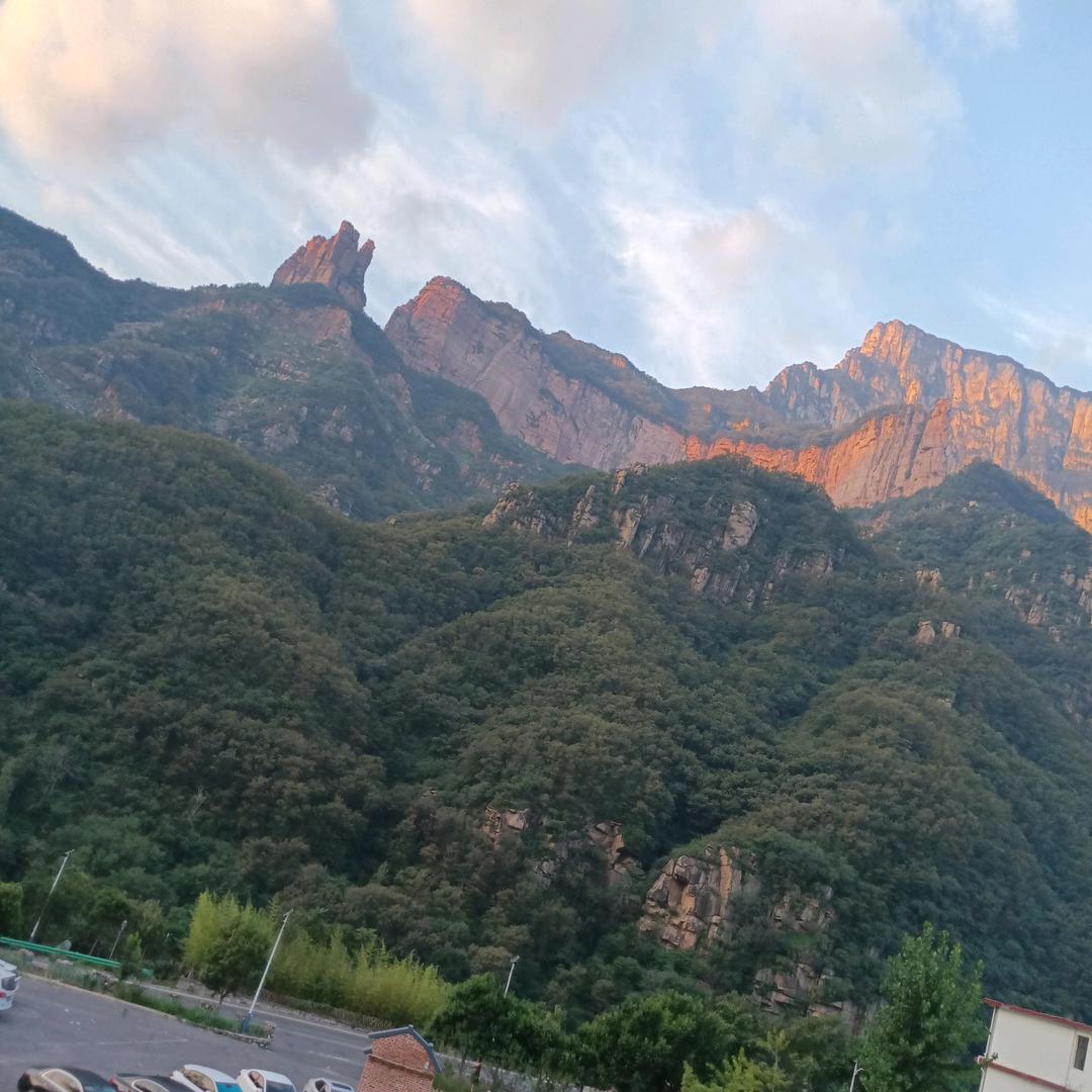 玫瑰枯萎花谢了
