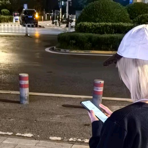 秋水映雪归
