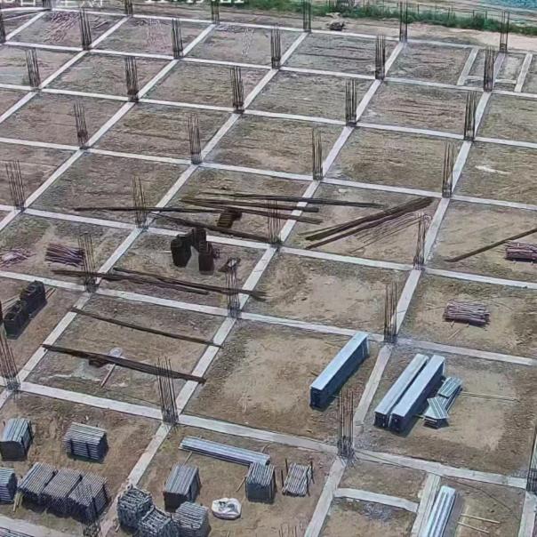 盖别野的胖龙