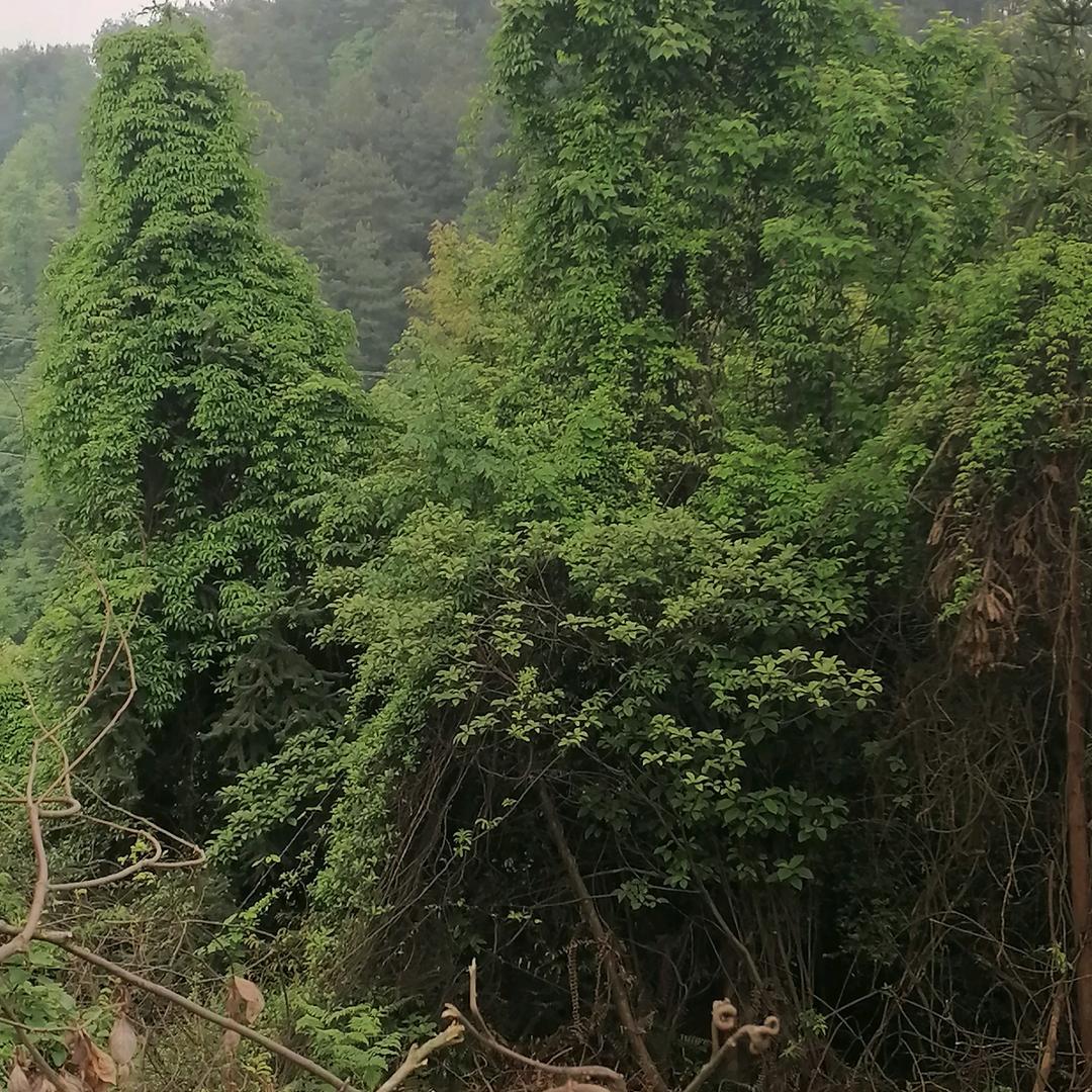 我的世界