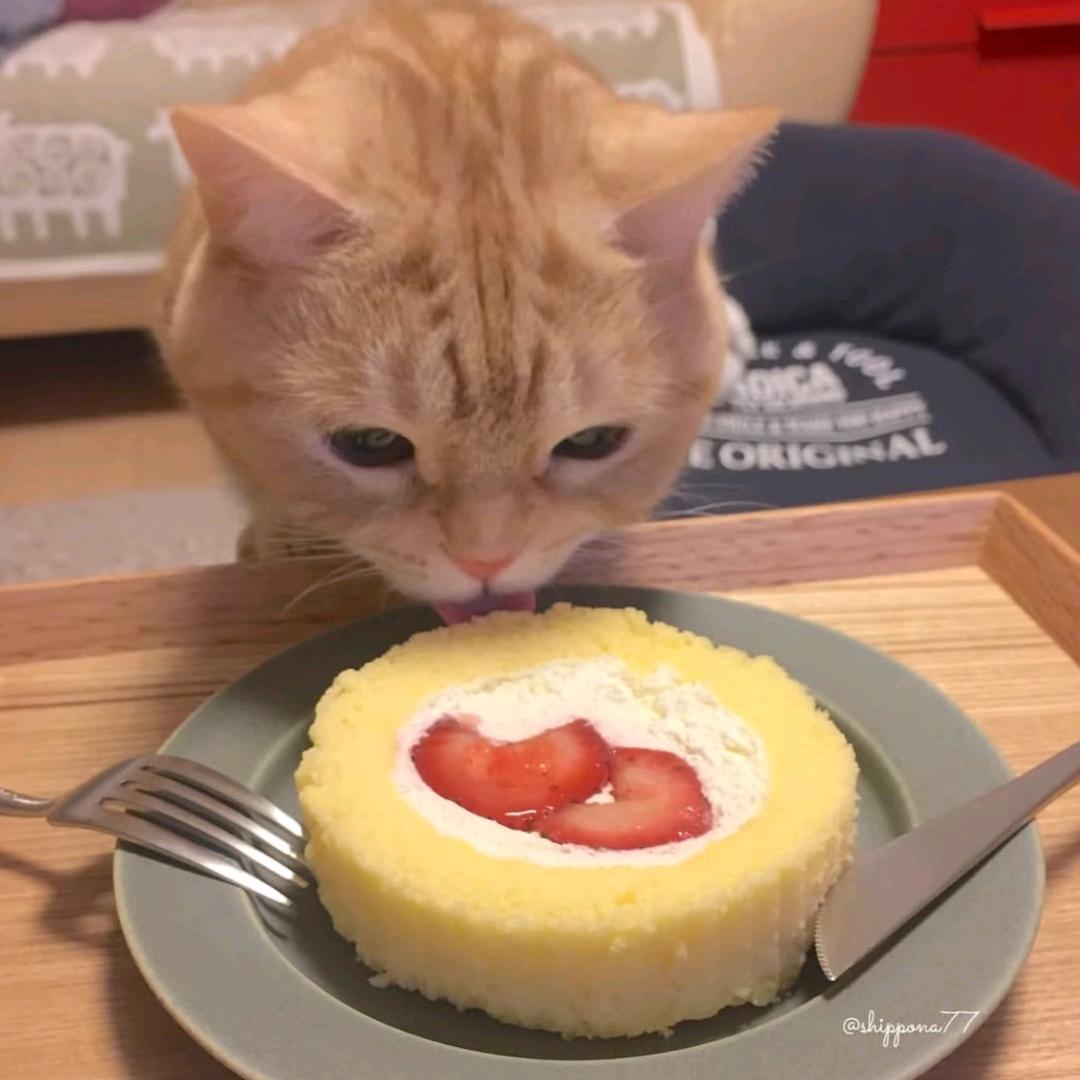 AAA.苍穹山.千草峰药材出售处