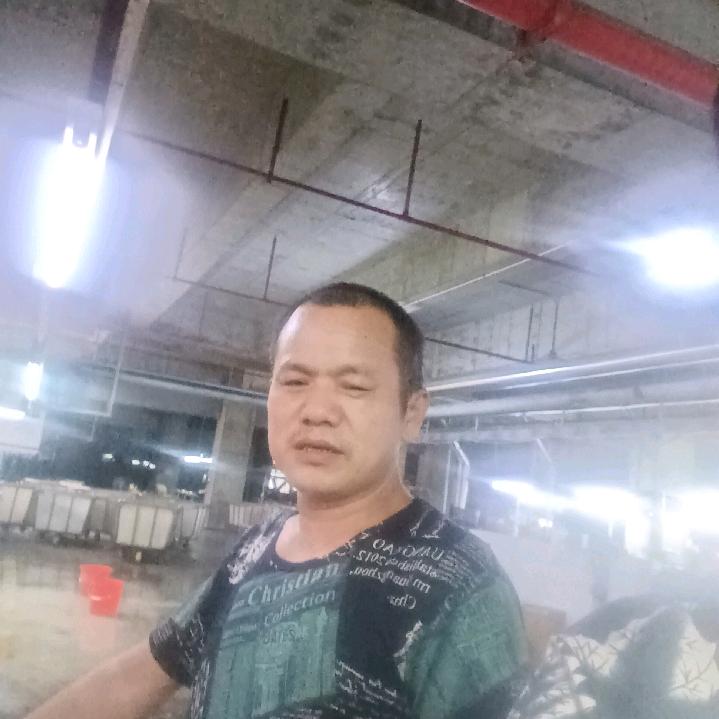 杨叶159
