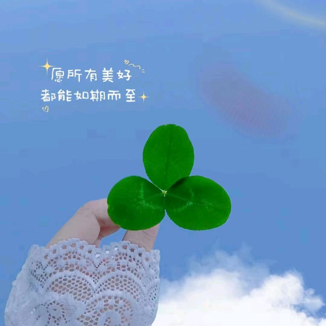 @懒羊羊🐏