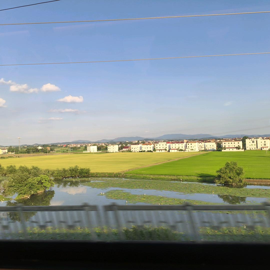 小挽（点陪看主页）