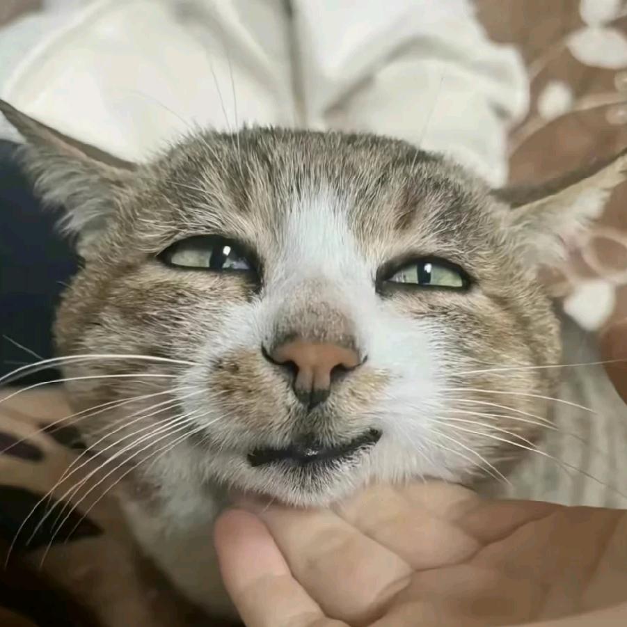 游戏mua