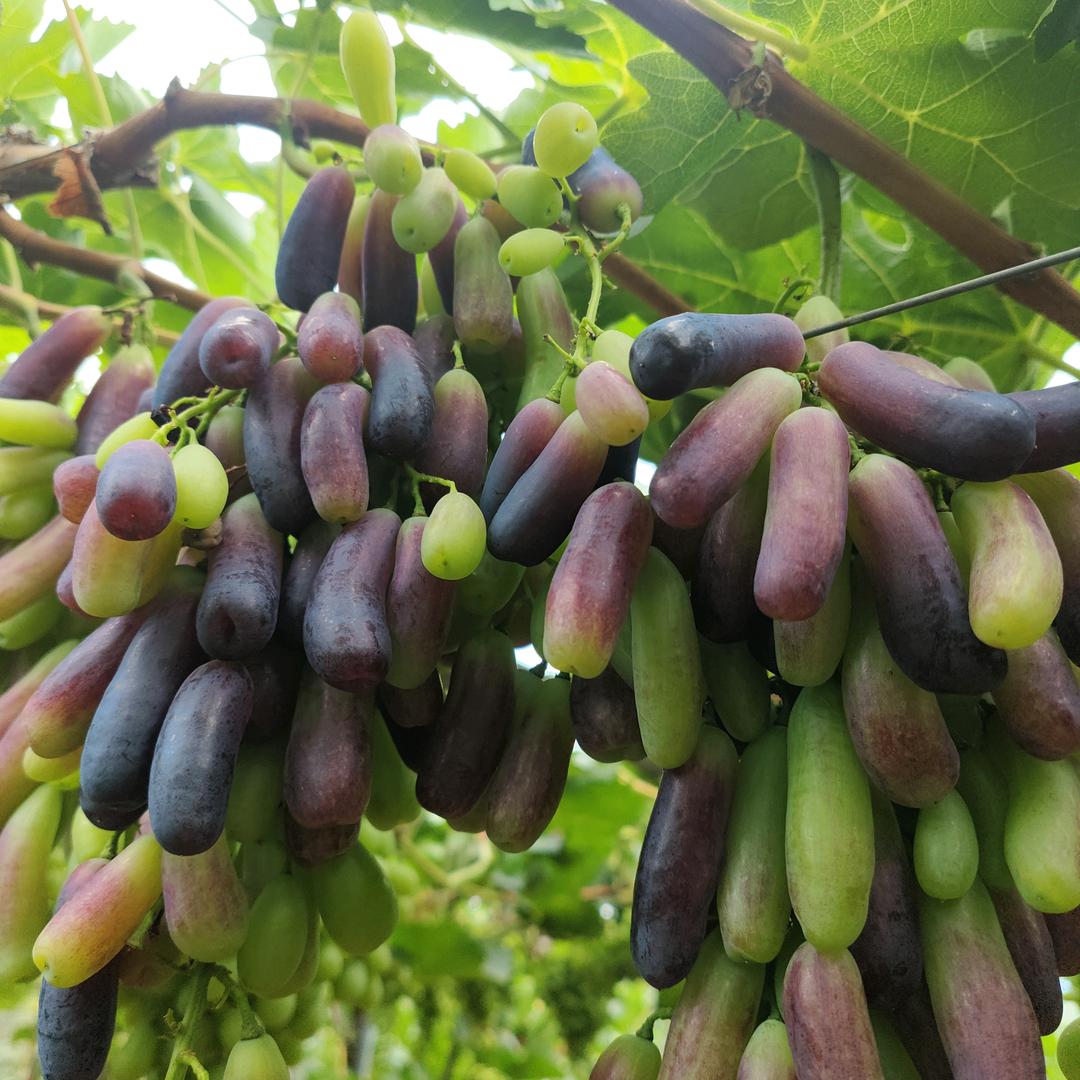 5870758你我有缘吗。💑👫，