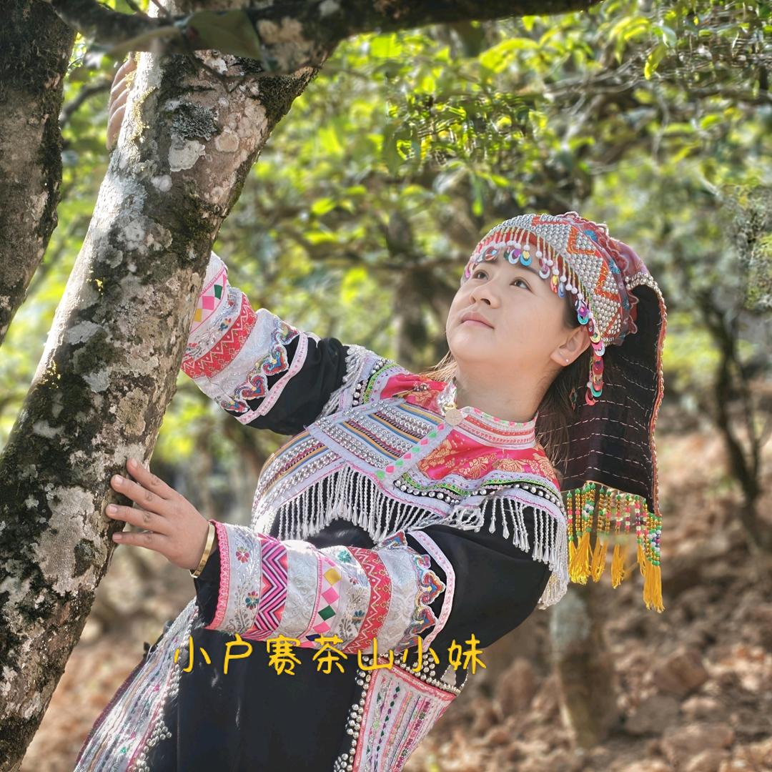 小户赛拉祜寨35號茶山小妹