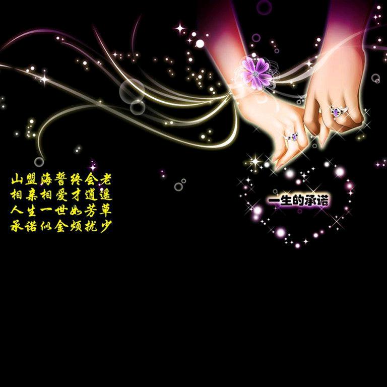 ①只呆坐在橱窗的小猫🐱