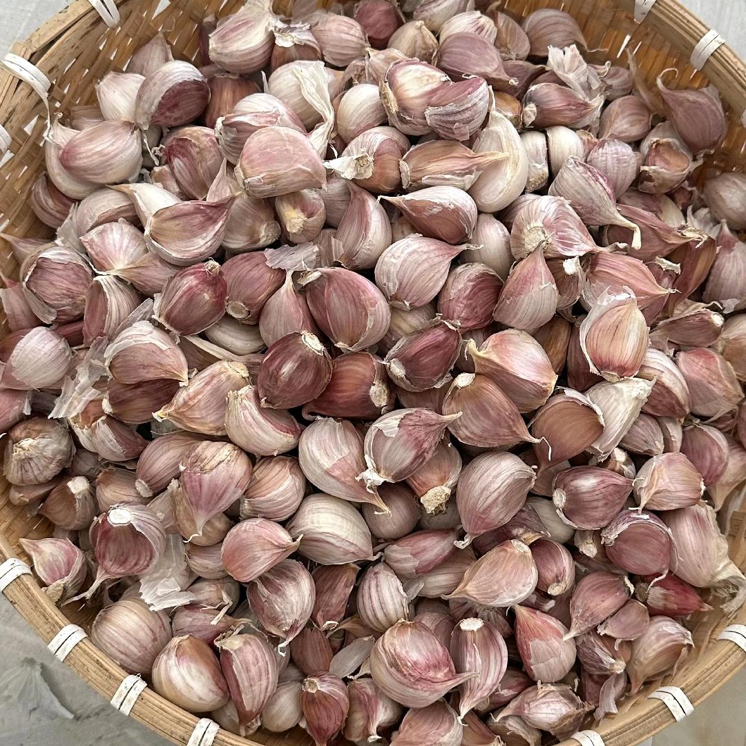 爱意随风起