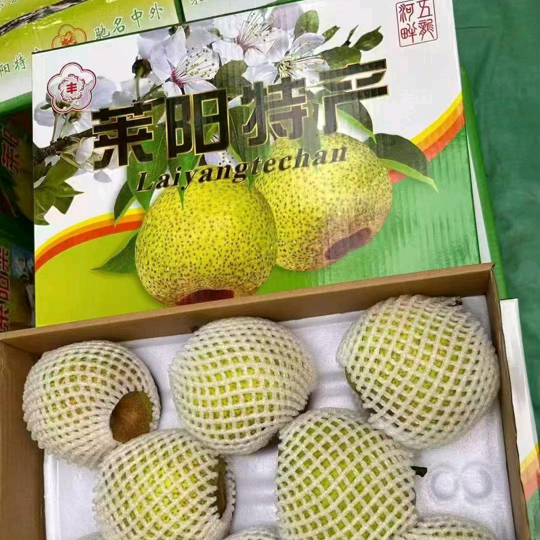 手心里的温柔3856