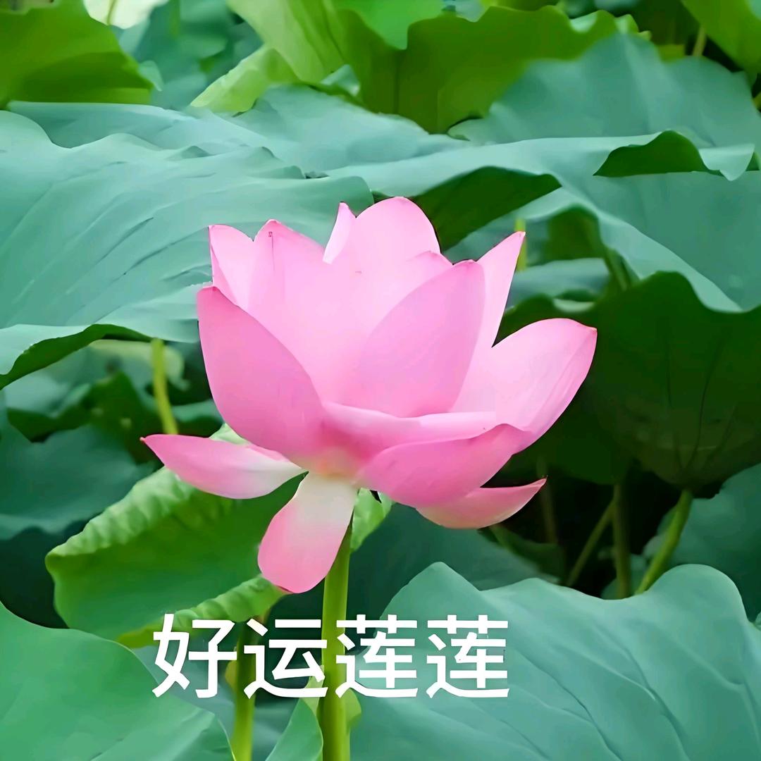 🎈嘟嘟要爆爆💕💕💕