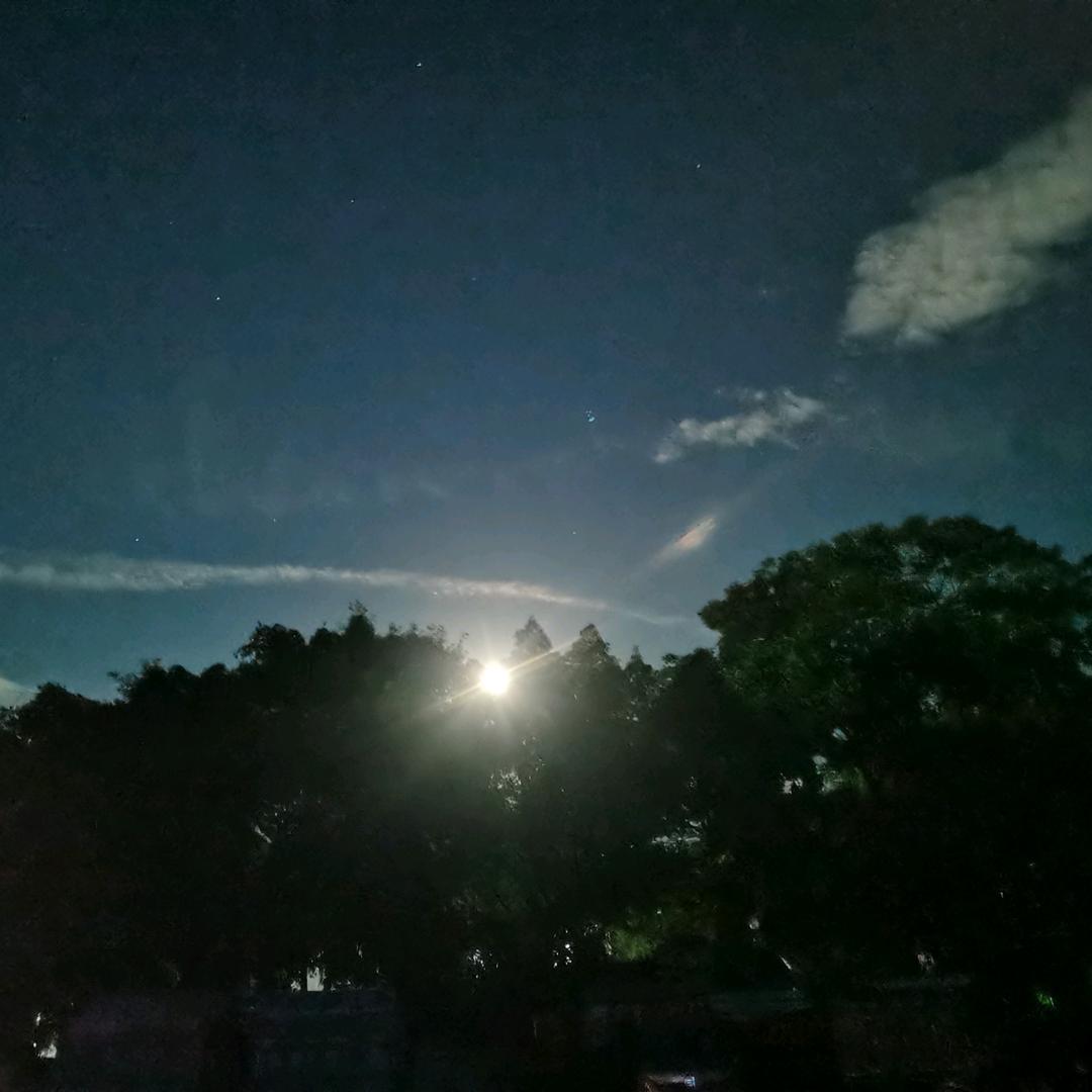晓飛✨