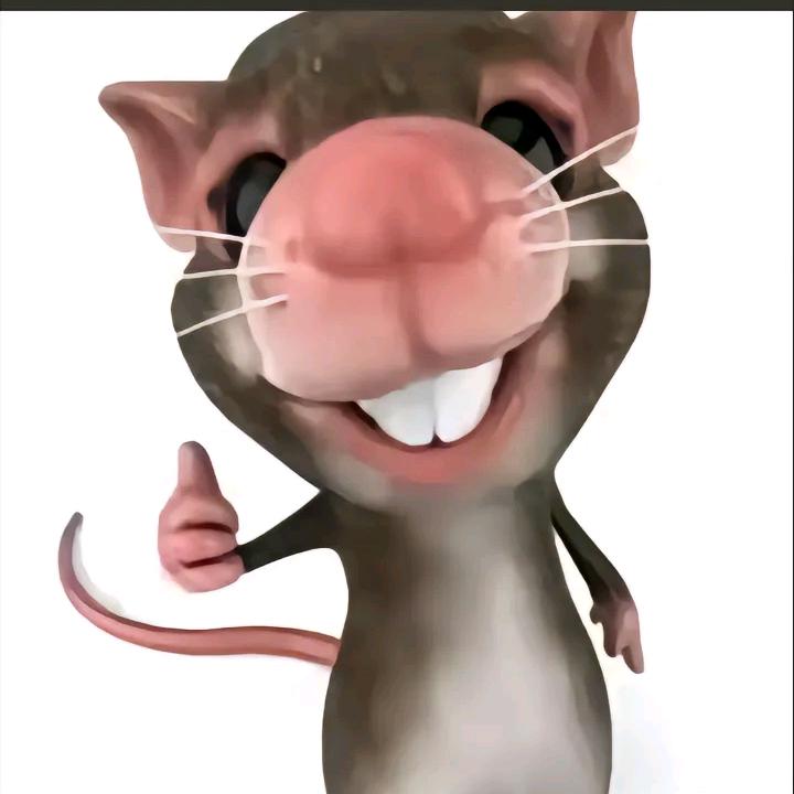 世界上第一鼠鼠