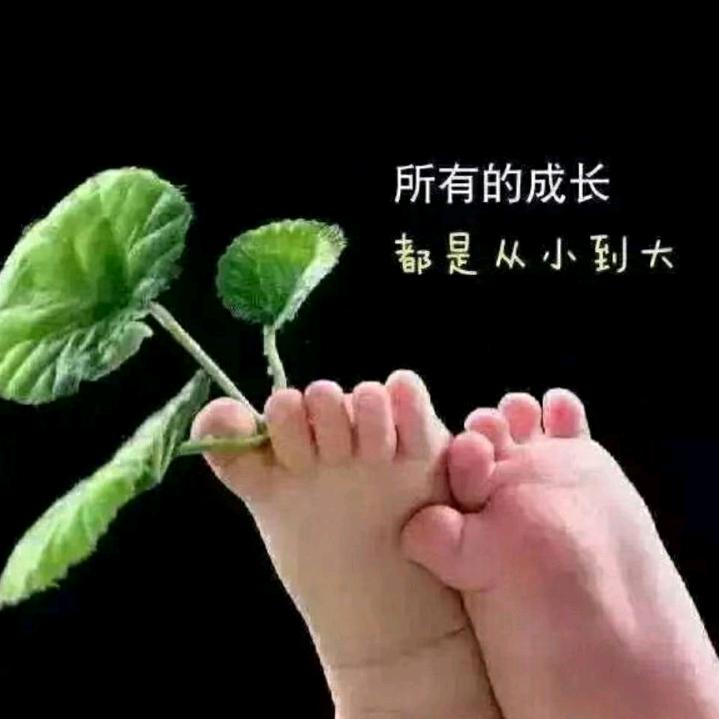昨夜星辰