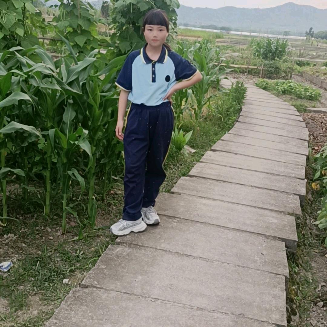 @杜五妹