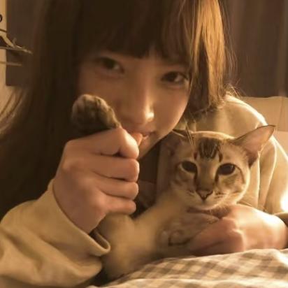 catkitto