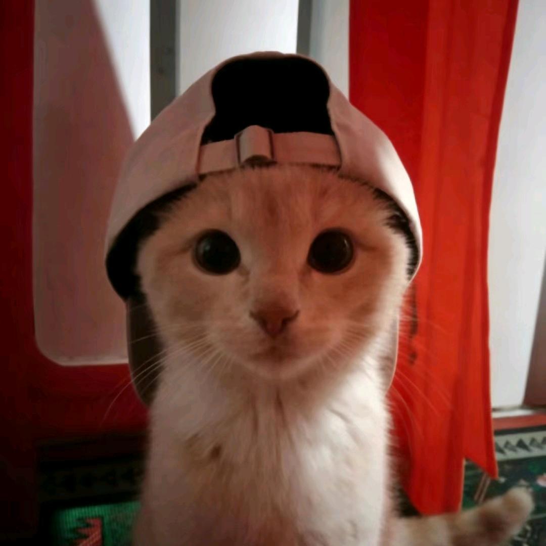 么凹头像