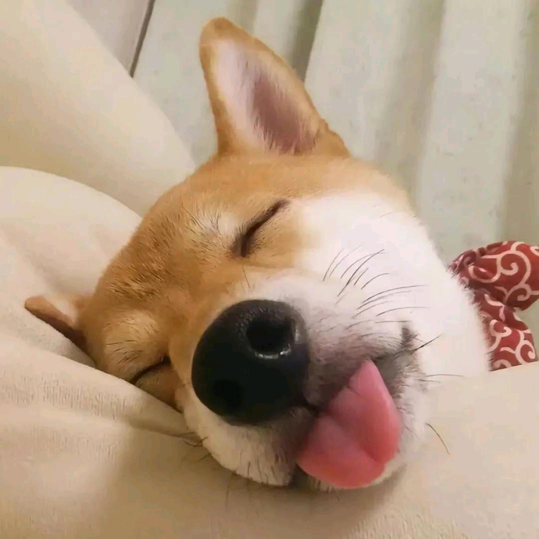 cool guy（困困蛔虫版）