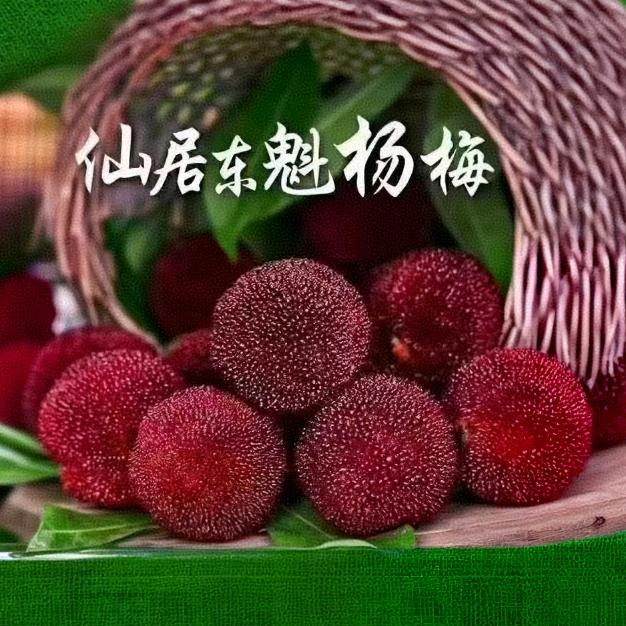 仙居安财农场
