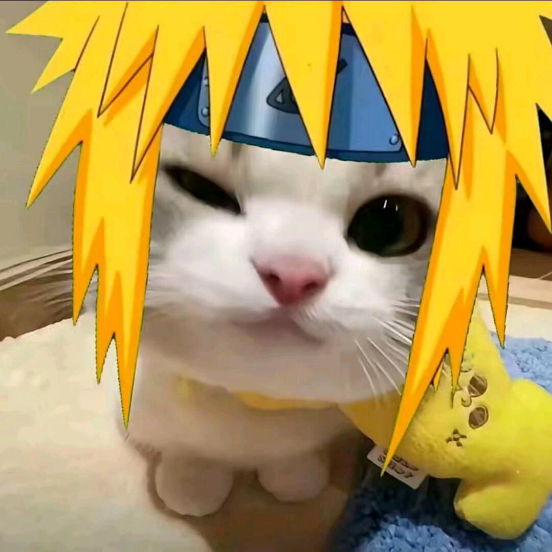 宾朋