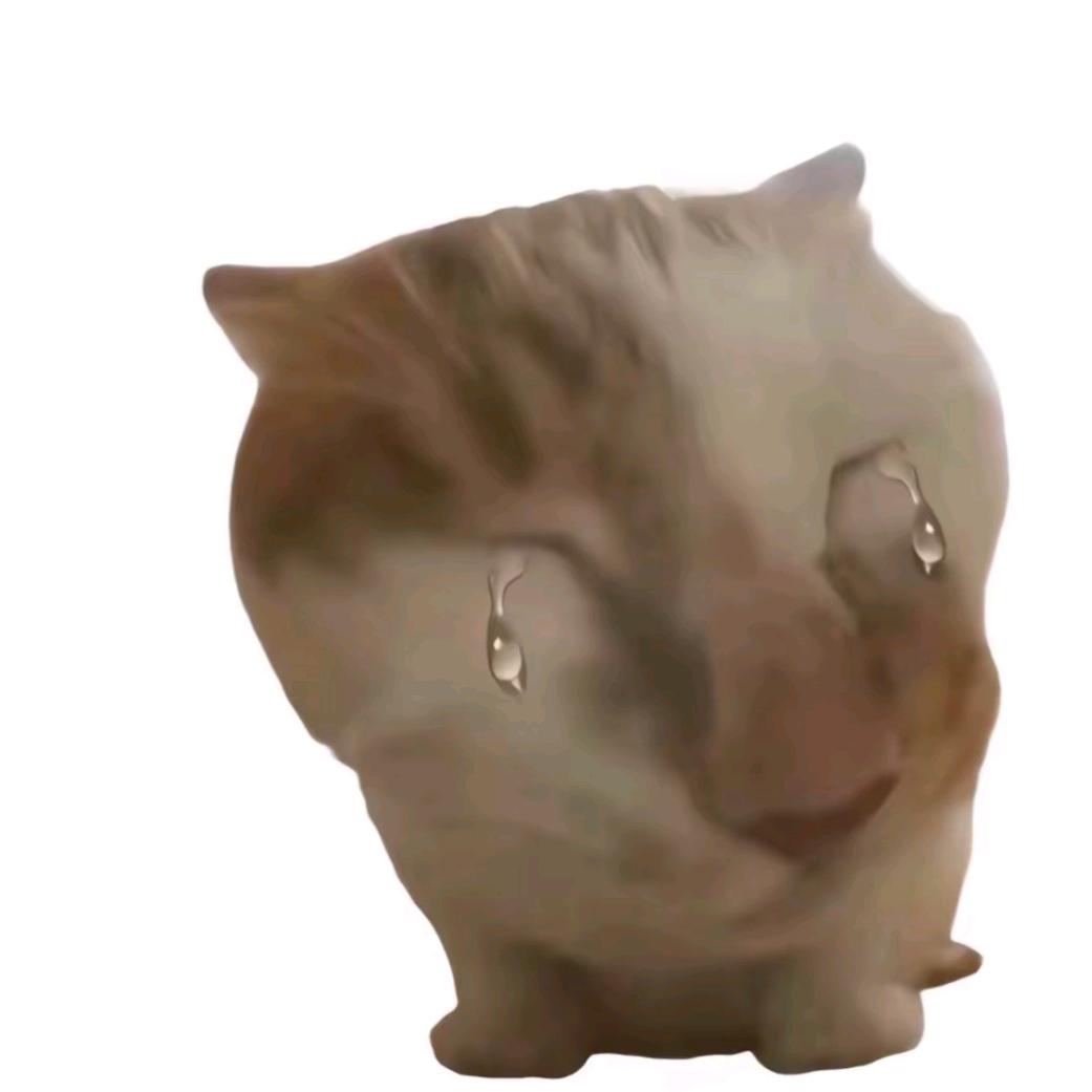 窝瓜炖西葫芦炒南瓜