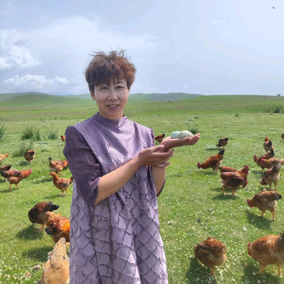 伊犁昭苏土鸡土鸡蛋汪姐