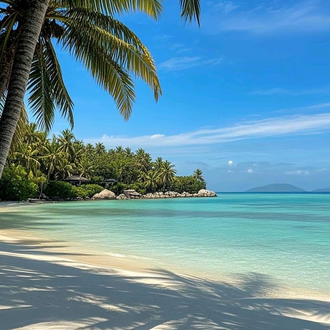 🍥芋泥卷 ⁺ ♡₊⋆