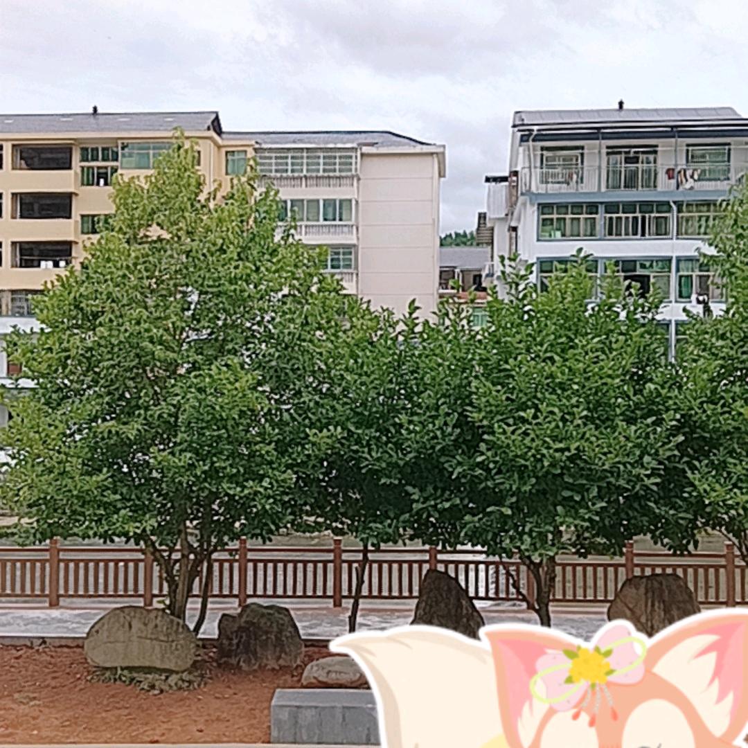 我爱你啊，小宝贝