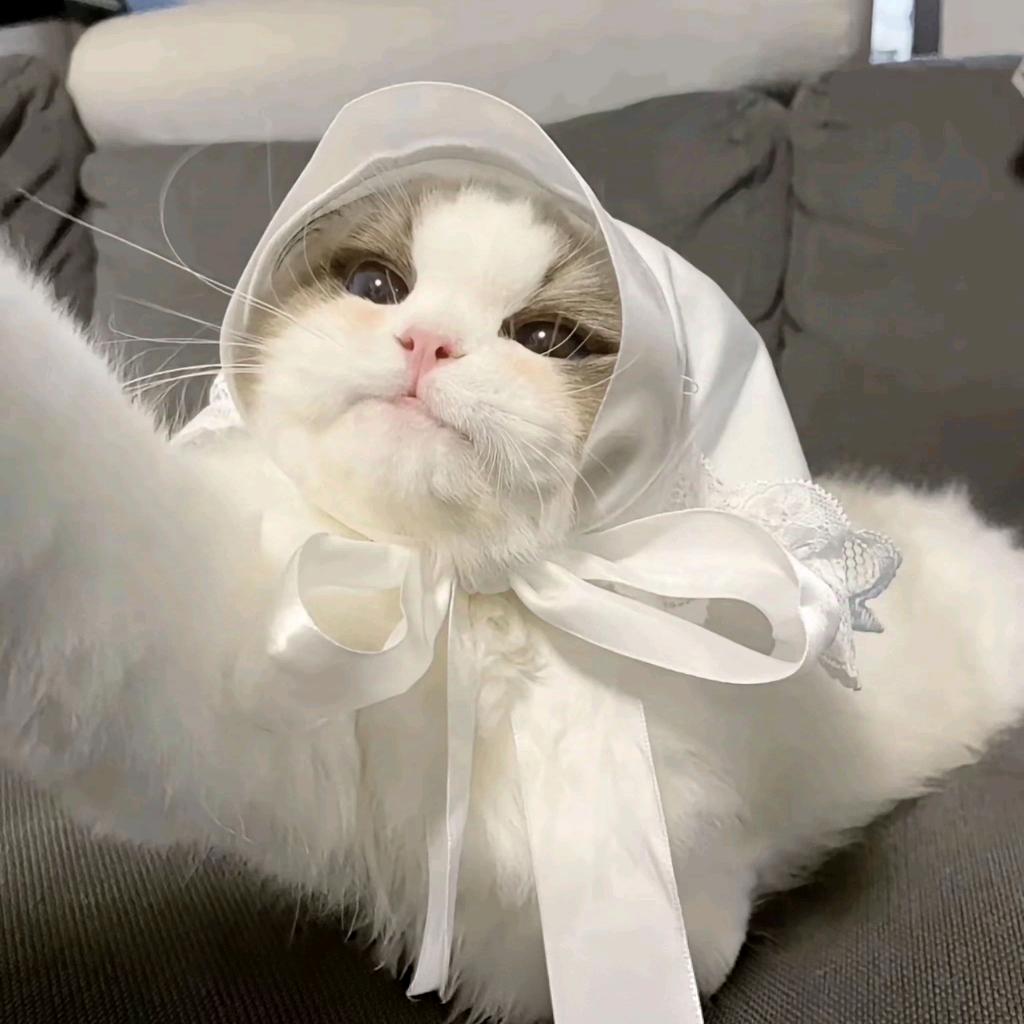 如亿✨