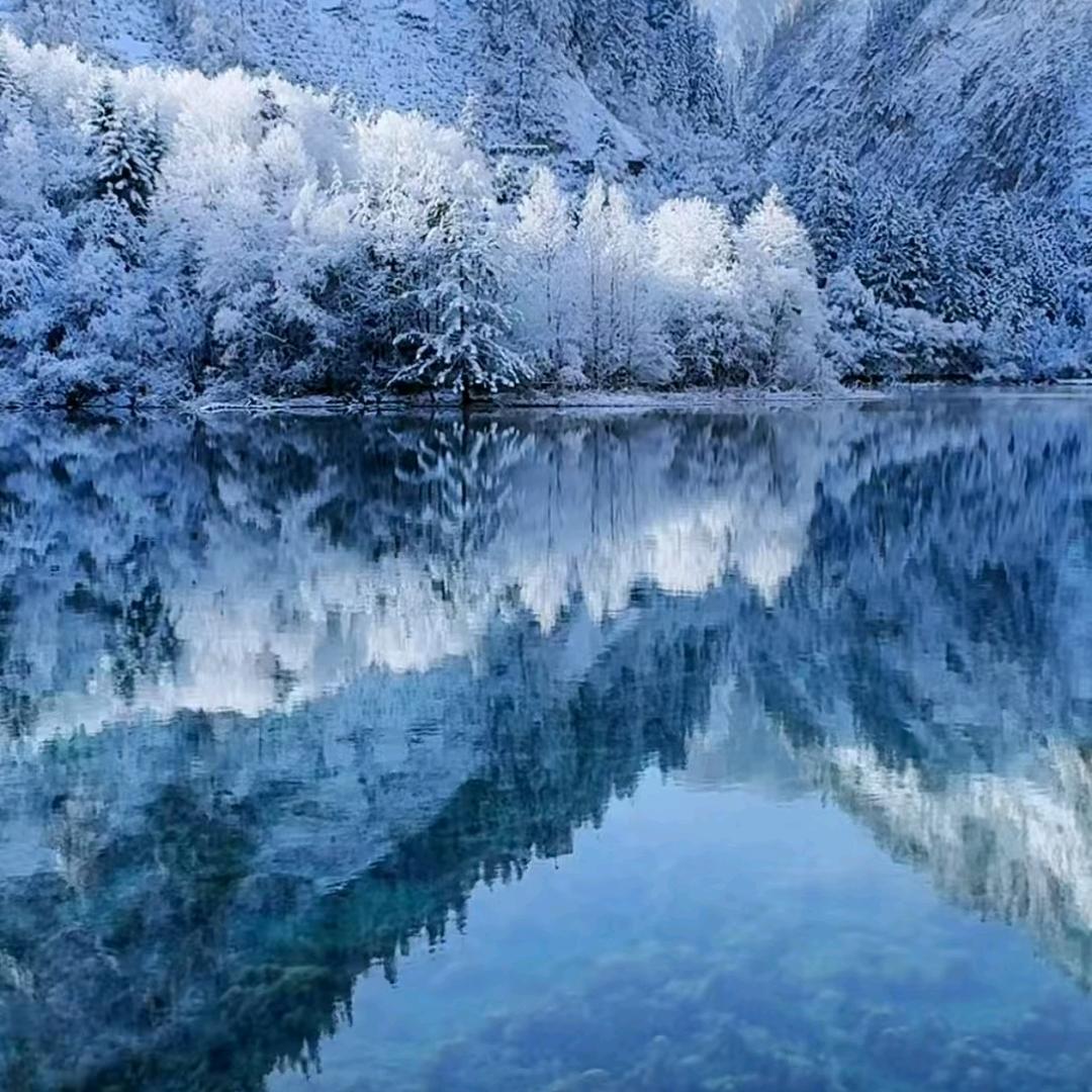 满卿卿减肥工作室