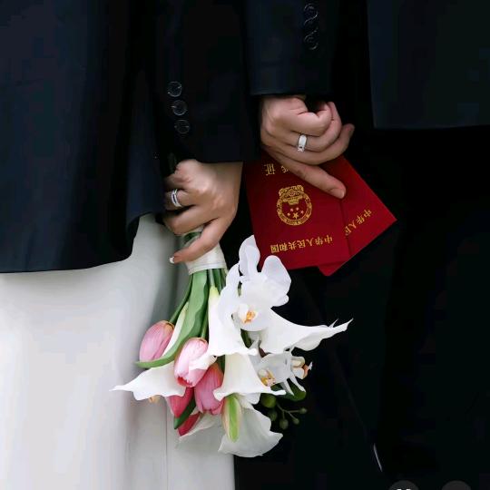 小白不吃胡萝卜🥕