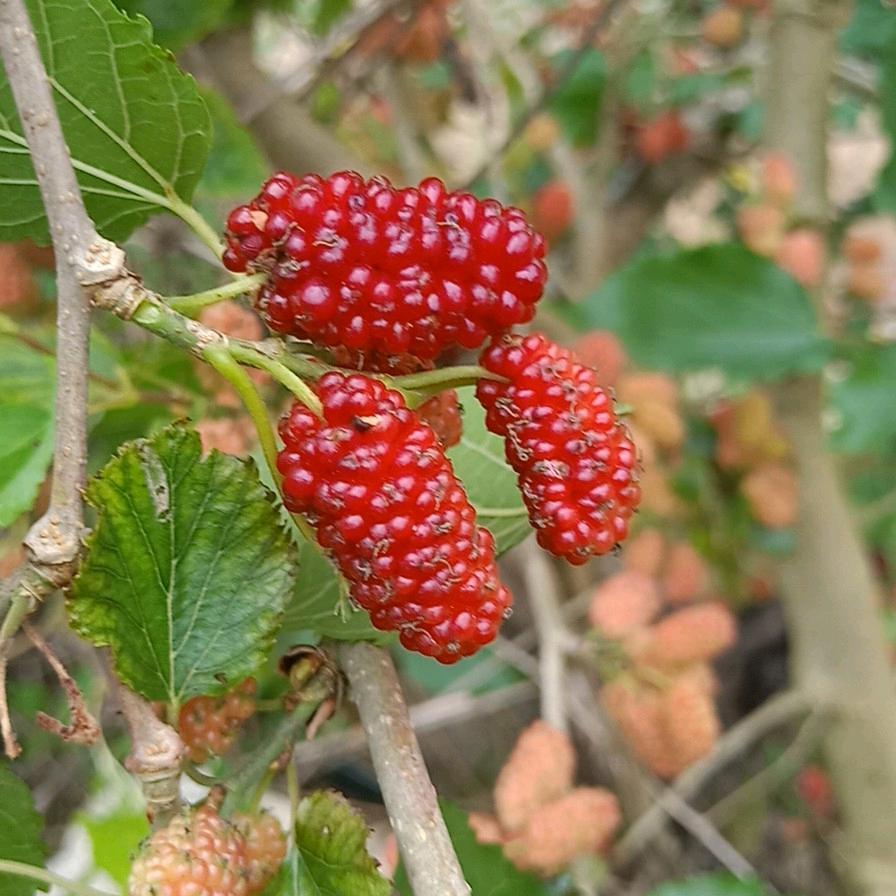 愿你！一切安好