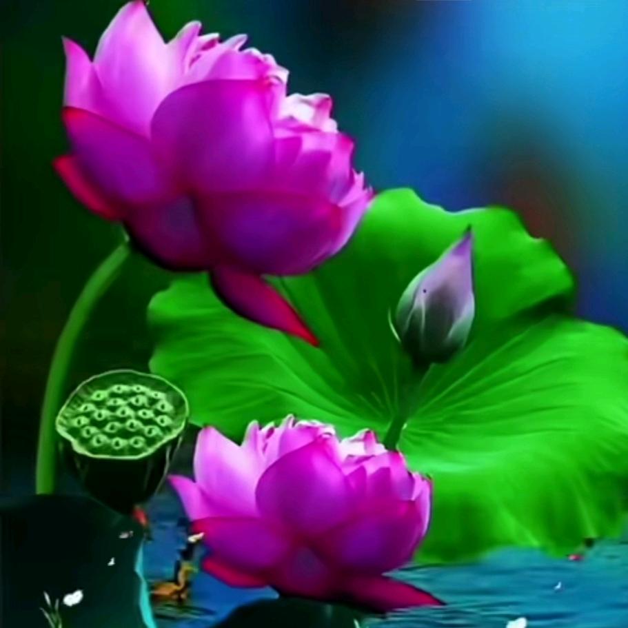 💞心醒💝梦断💞