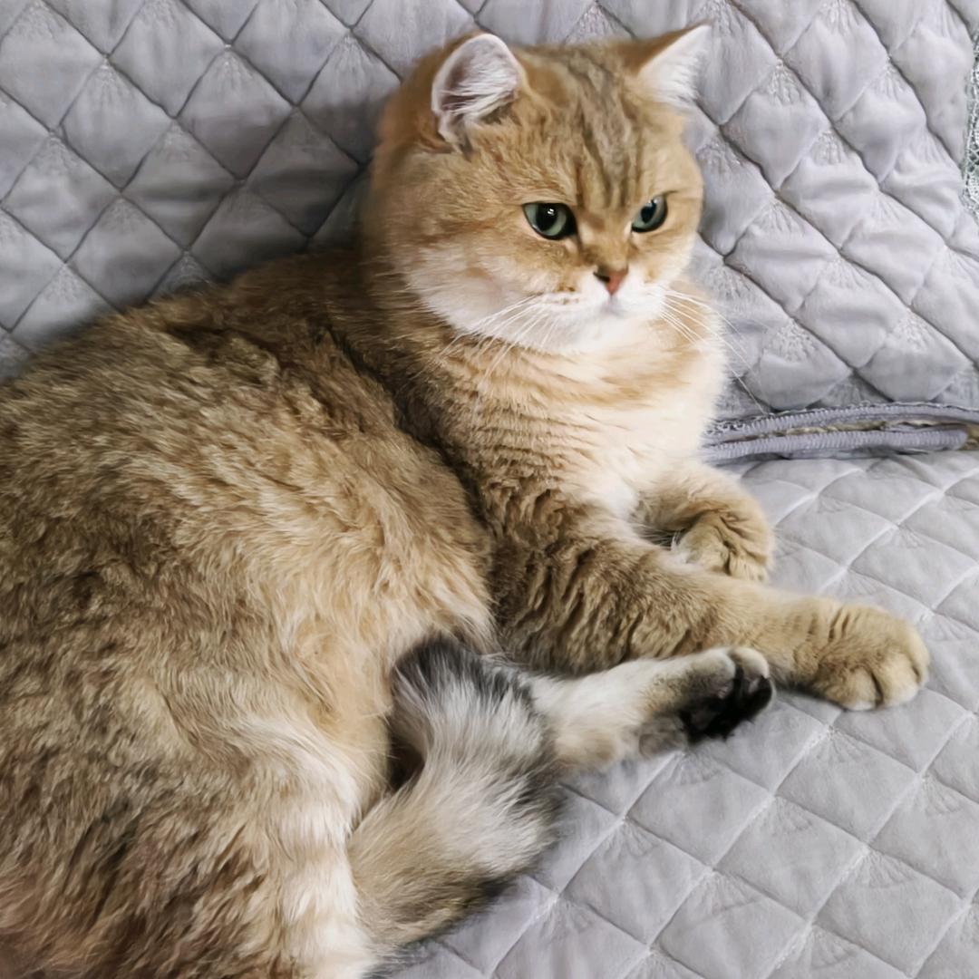 奶思米tu鱿🚞🚃🚃🚃💨