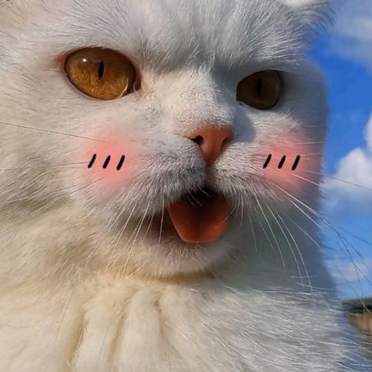 空白