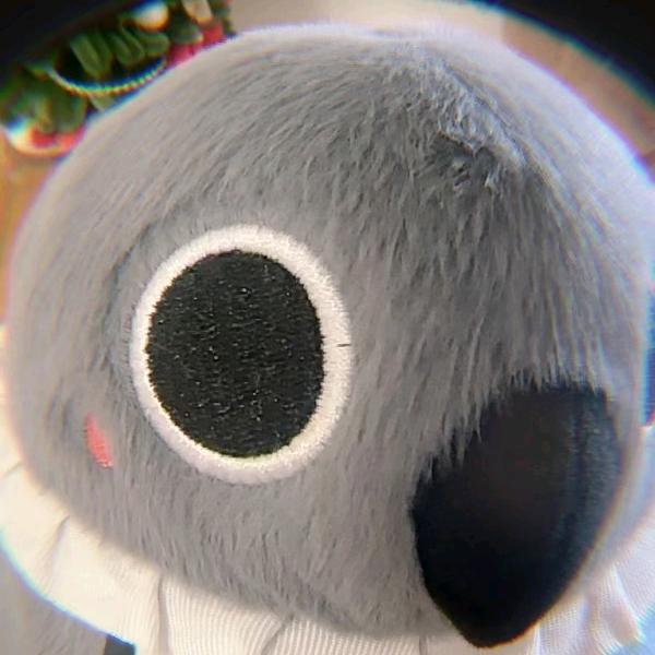 破次元の陪伴