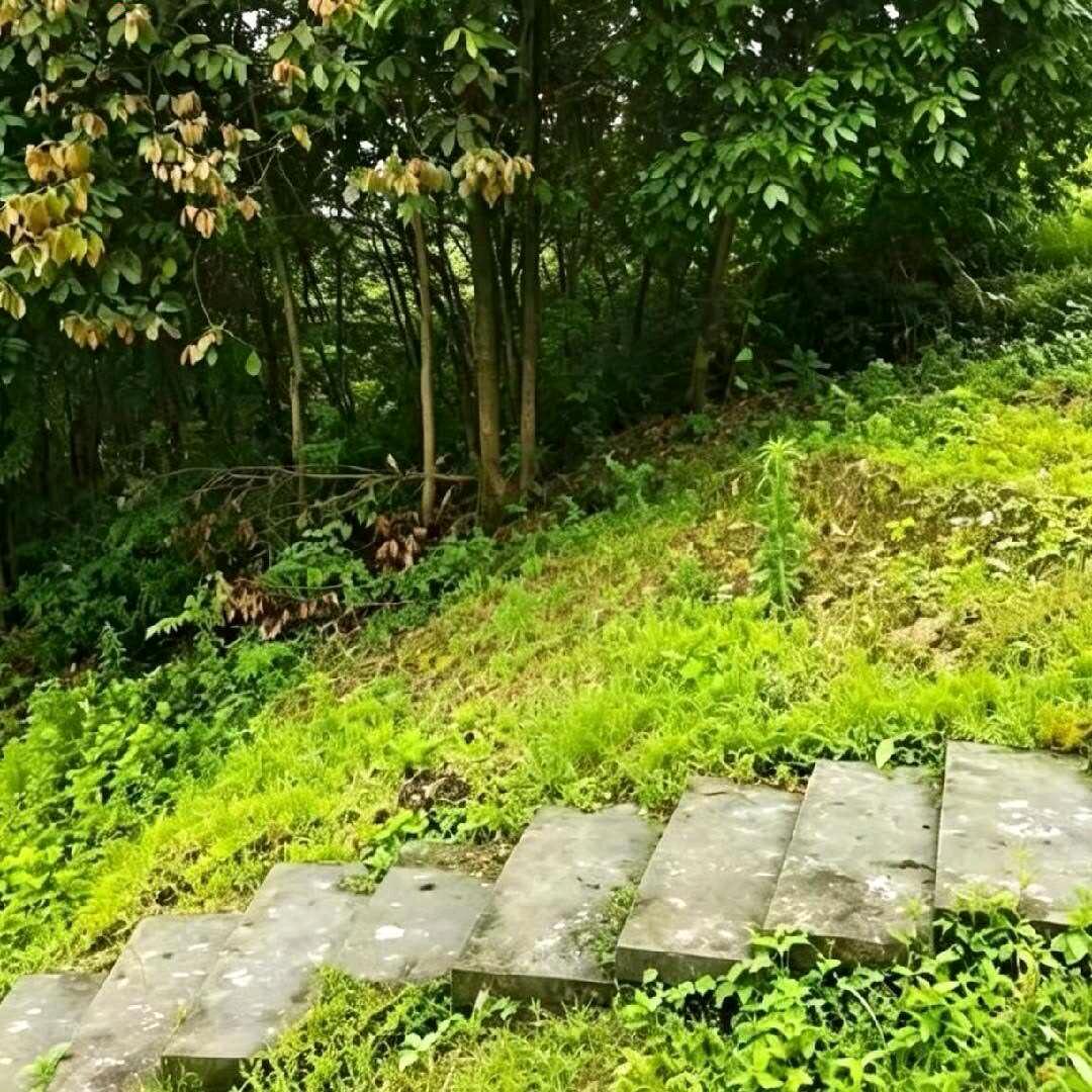 日月弘一头像